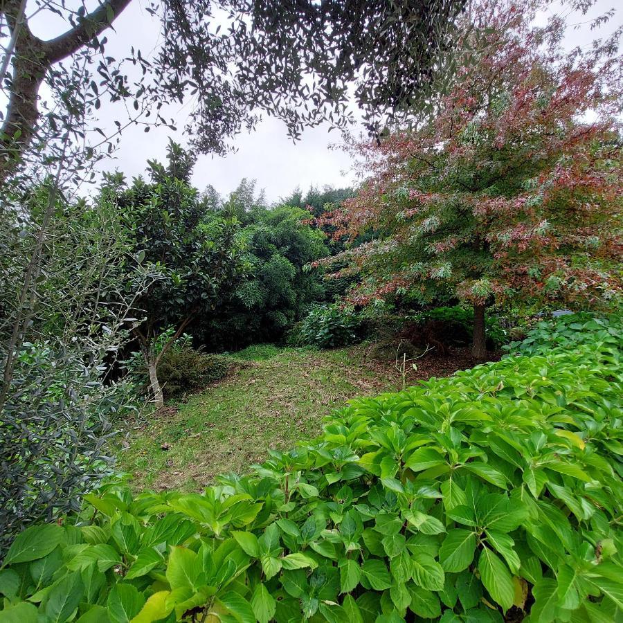 Casa Do Penedo - Quinta De Fundevilla Geres Exteriér fotografie